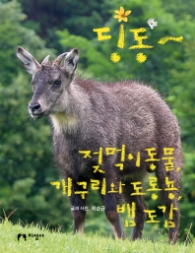 딩동 젖먹이동물 개구리와 도롱뇽 뱀 도감